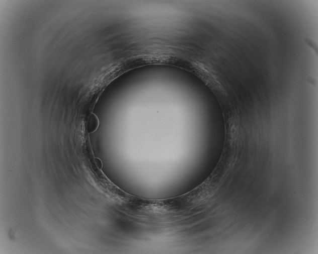 X0000099960498200806061609