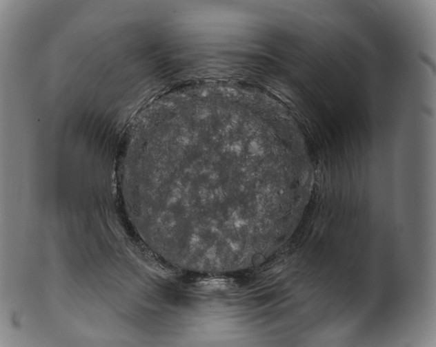 X0000099960499200806061609