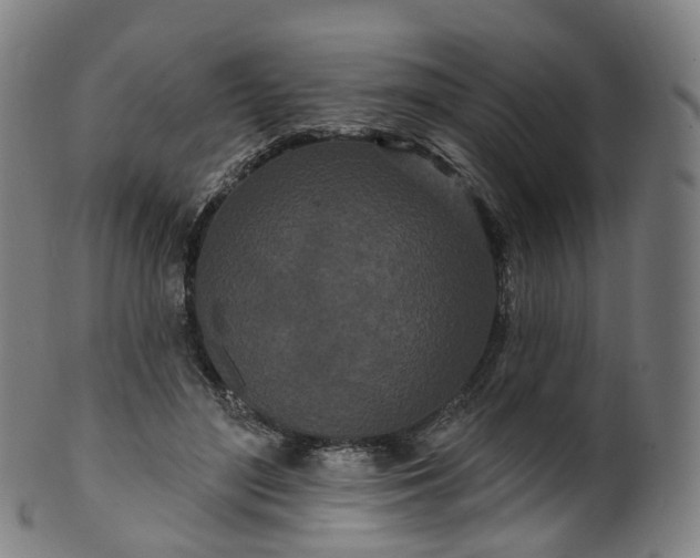 X0000099960500200806061609
