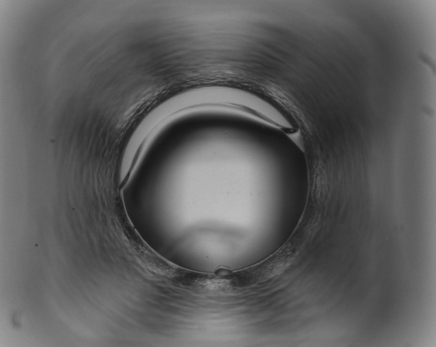X0000099960501200806061609