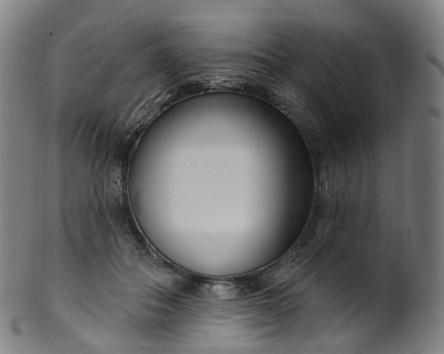 X0000099960506200806061609