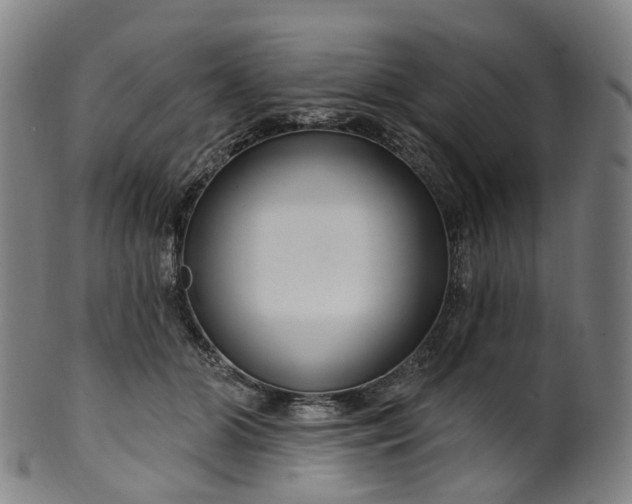 X0000099960510200806061609