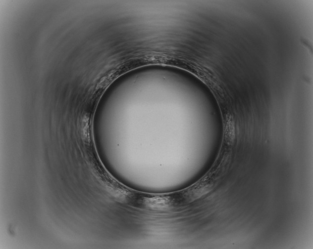 X0000099960511200806061609