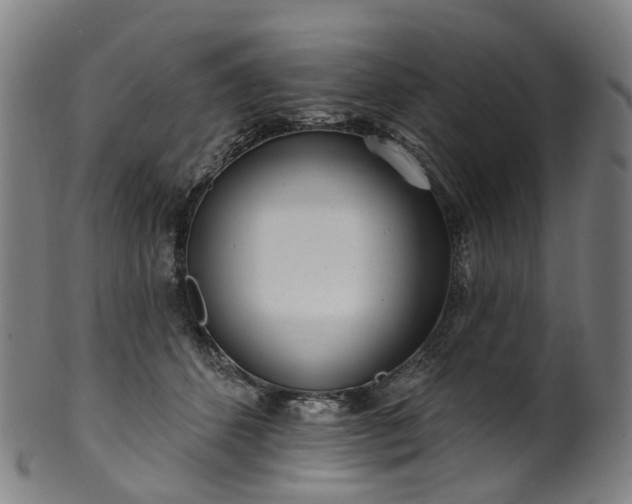 X0000099960512200806061609