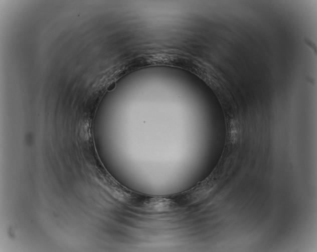 X0000099960514200806061609