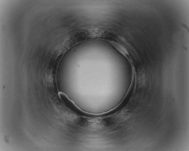 X0000099960516200806061609