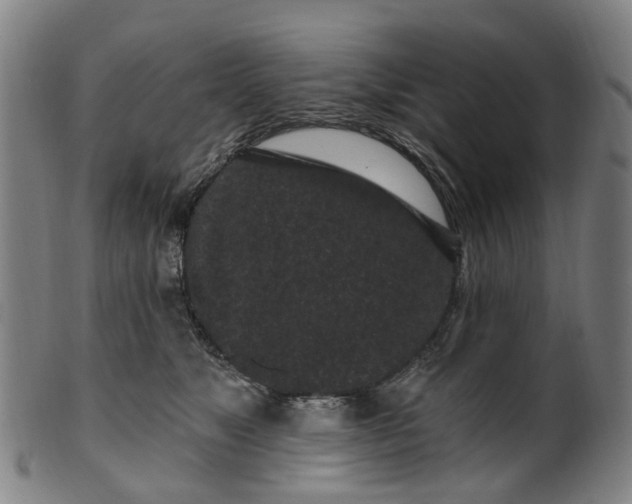 X0000099960517200806061609