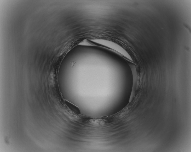 X0000099960520200806061609