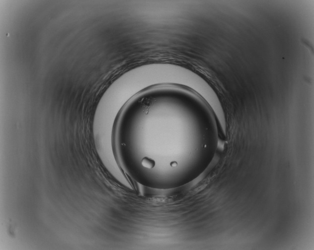 X0000099960521200806061609