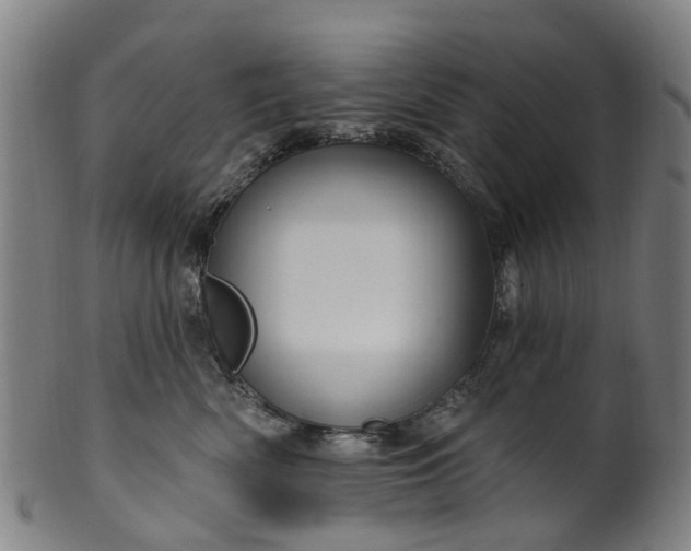 X0000099960522200806061609