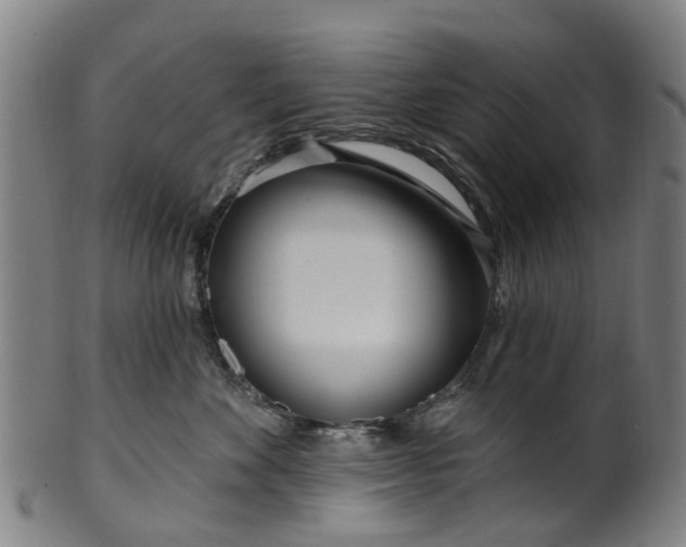 X0000099960524200806061609