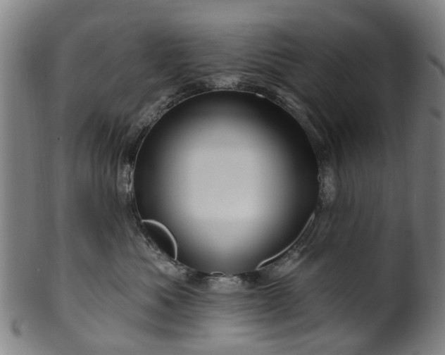 X0000099960525200806061608