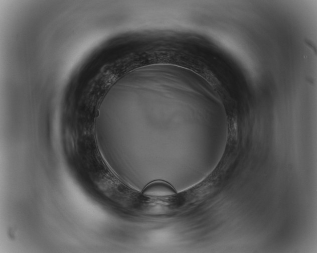 X0000099960526200806061608