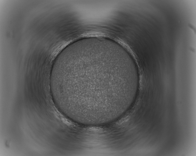 X0000099960529200806061608