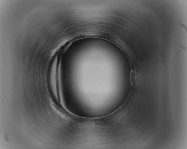 X0000099960530200806061608