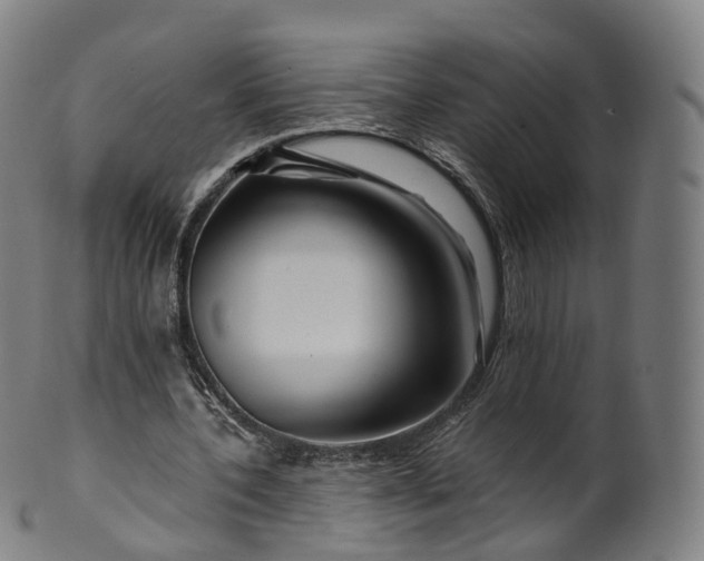 X0000099960532200806061608