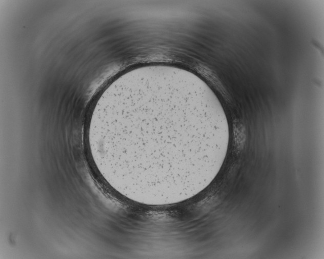 X0000099960534200806061608
