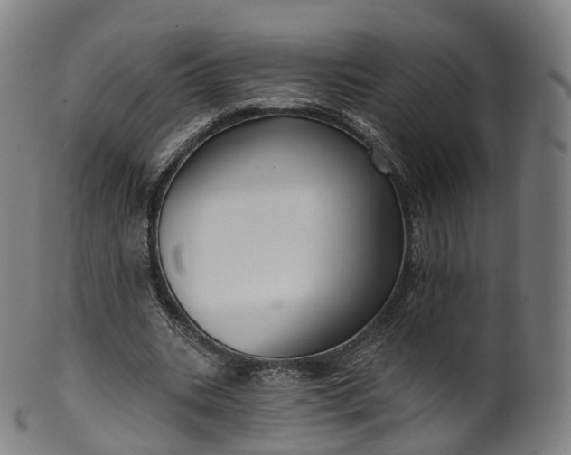 X0000099960535200806061608