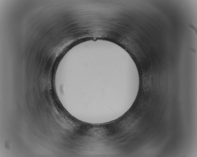 X0000099960536200806061608