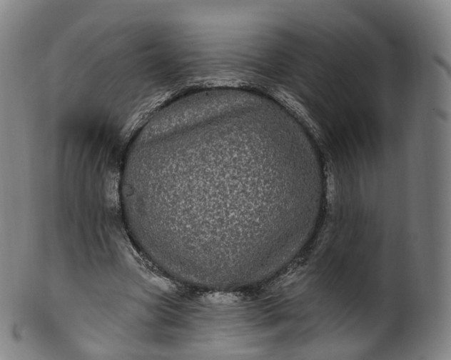 X0000099960537200806061608