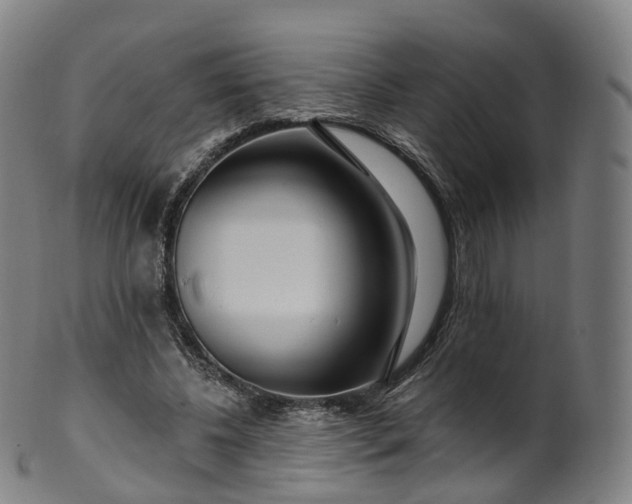 X0000099960540200806061608