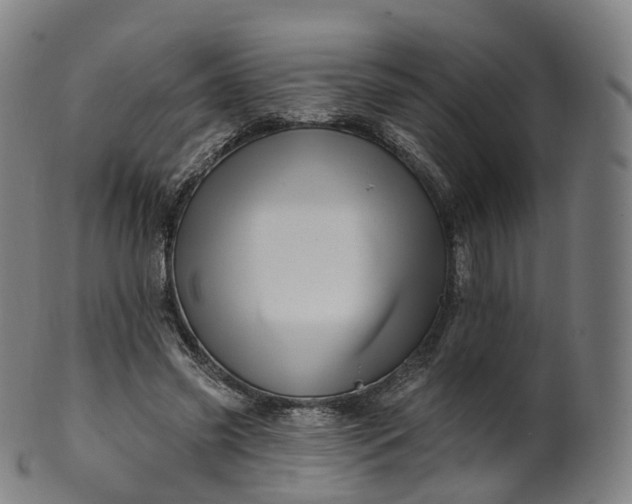 X0000099960541200806061608