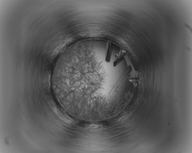 X0000099960542200806061608