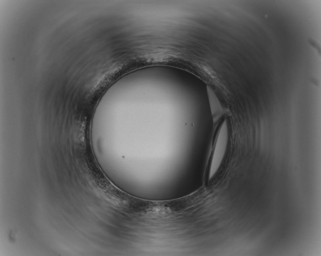 X0000099960543200806061608