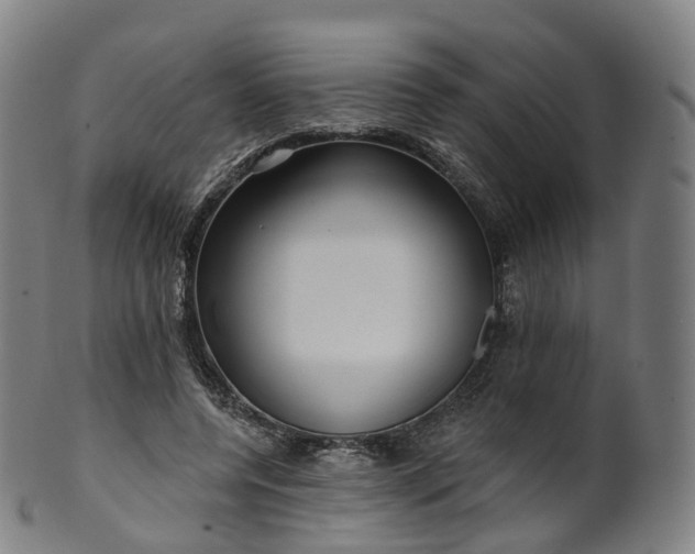 X0000099960544200806061608