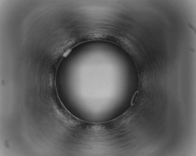 X0000099960546200806061608