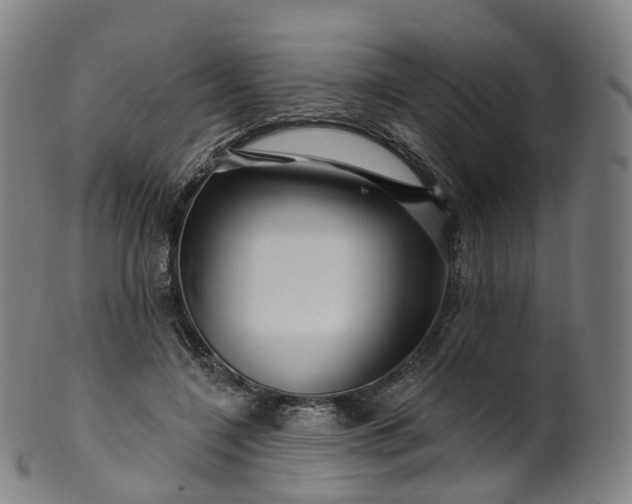 X0000099960548200806061608