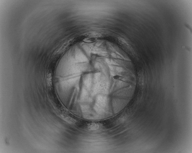 X0000099960549200806061608