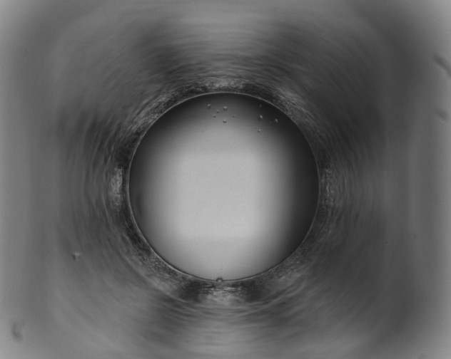 X0000099960550200806061608
