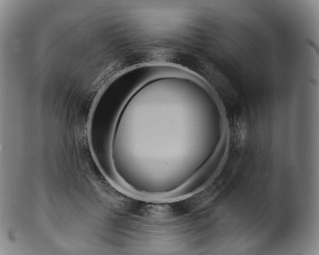 X0000099960552200806061608