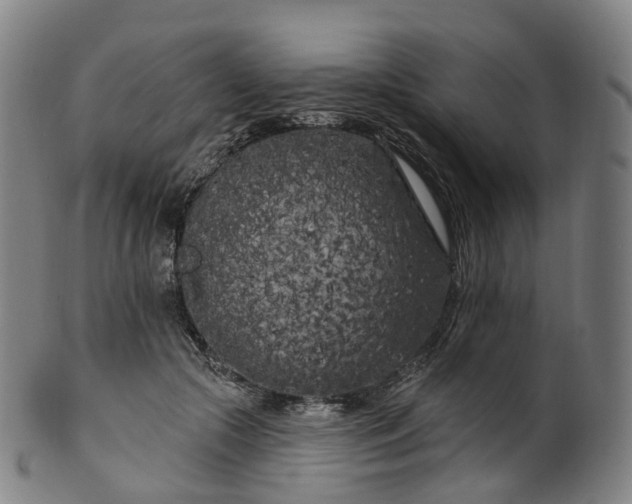 X0000099960553200806061608