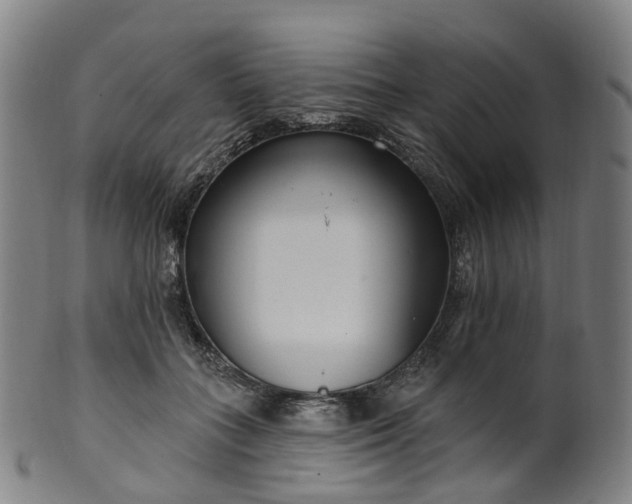 X0000099960555200806061608