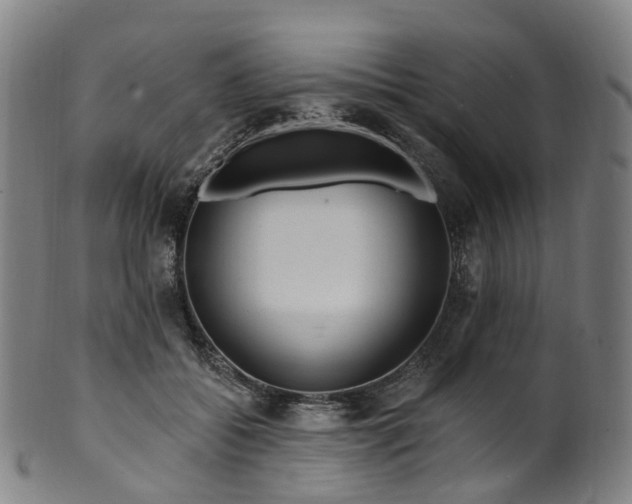 X0000099960556200806061608
