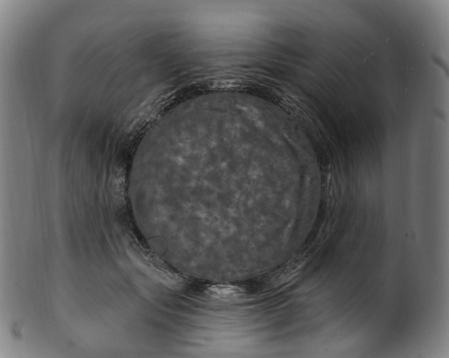 X0000099960557200806061608