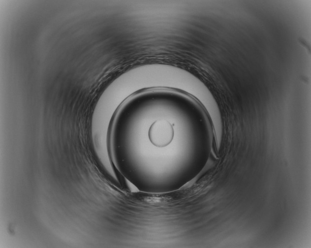 X0000099960558200806061608