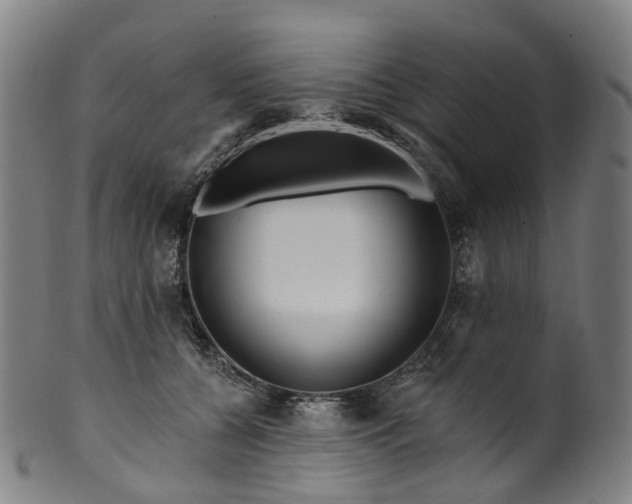 X0000099960560200806061608