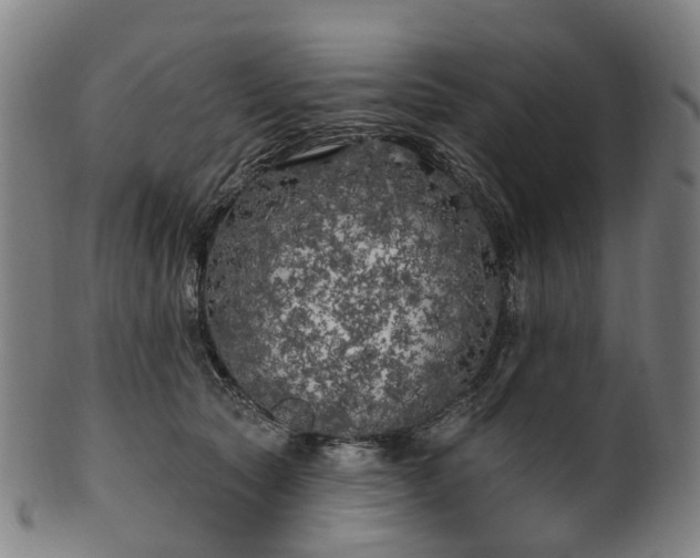 X0000099960561200806061608