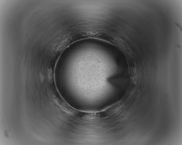 X0000099960563200806061608
