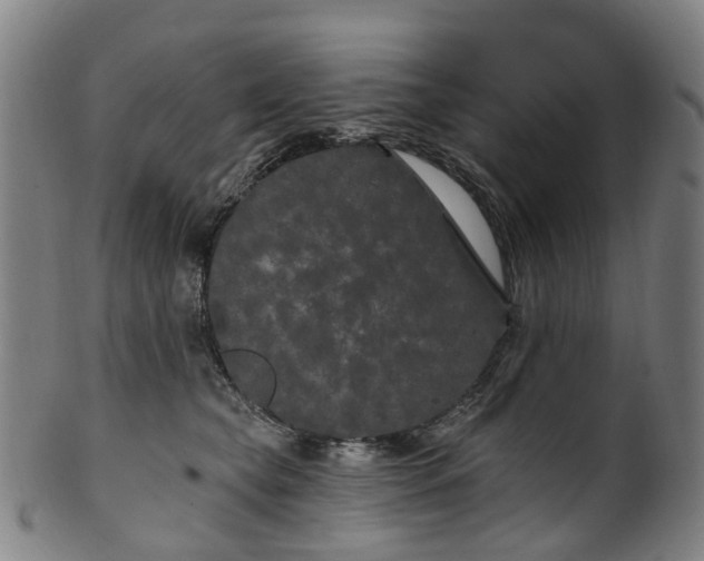 X0000099960565200806061608