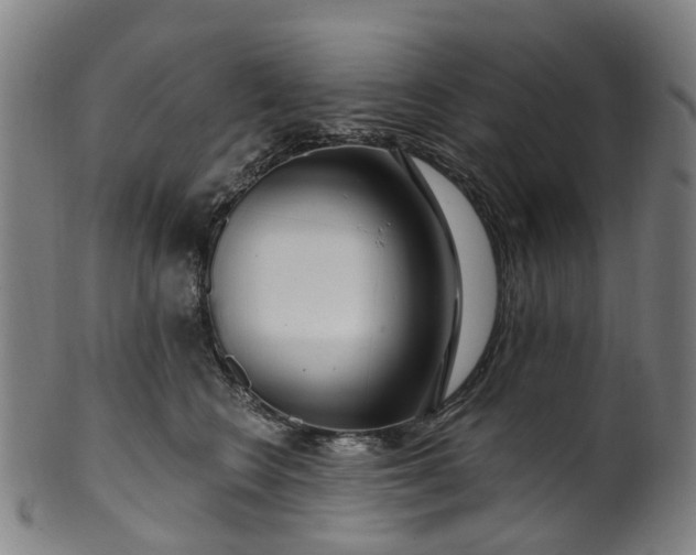 X0000099960566200806061608
