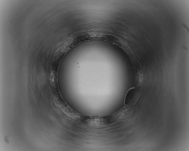 X0000099960567200806061608