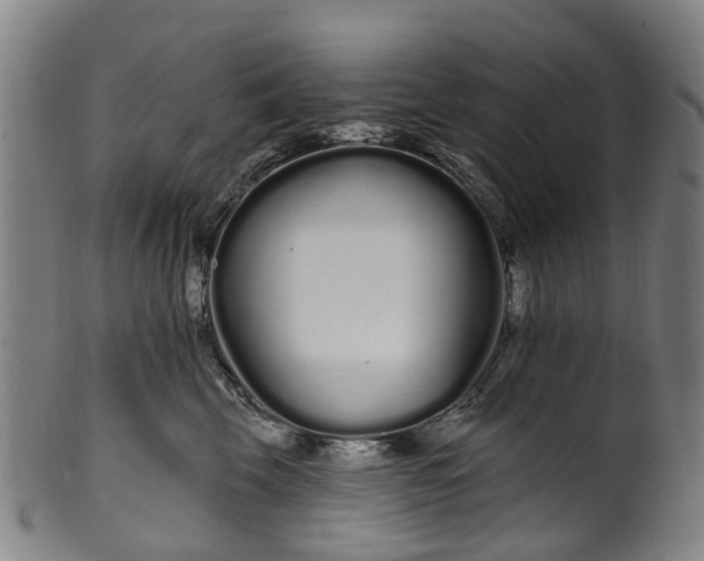 X0000099960569200806061608