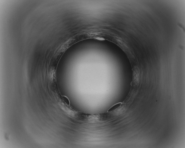 X0000099960574200806061608