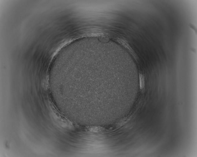 X0000099960579200806061608