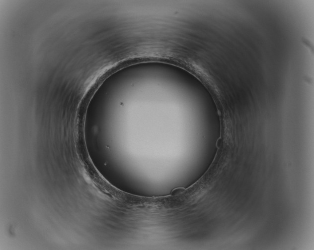 X0000099960580200806061608