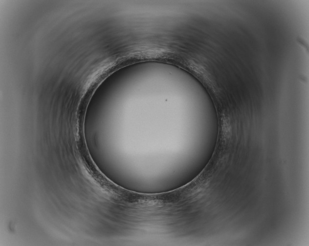 X0000099960582200806061608